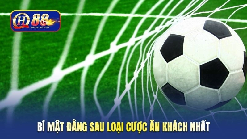 Bí mật đằng sau loại cược ăn khách nhất