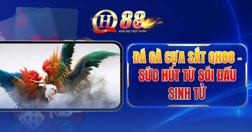 Đá Gà Cựa Sắt QH88 - Sức Hút Từ Sới Đấu Sinh Tử