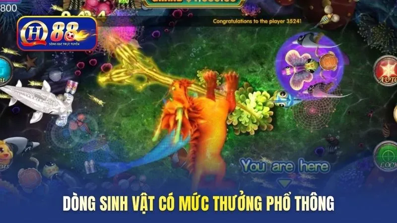 Dòng sinh vật có mức thưởng phổ thông