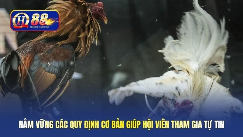 Nắm vững các quy định cơ bản giúp hội viên tham gia tự tin